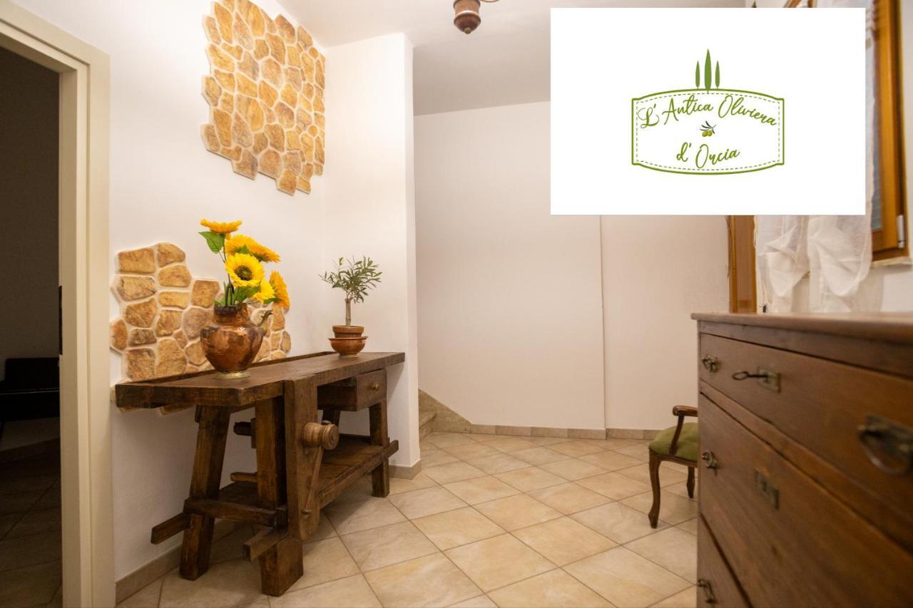 Appartement L' Antica Oliviera D'Orcia à San Quirico dʼOrcia Extérieur photo